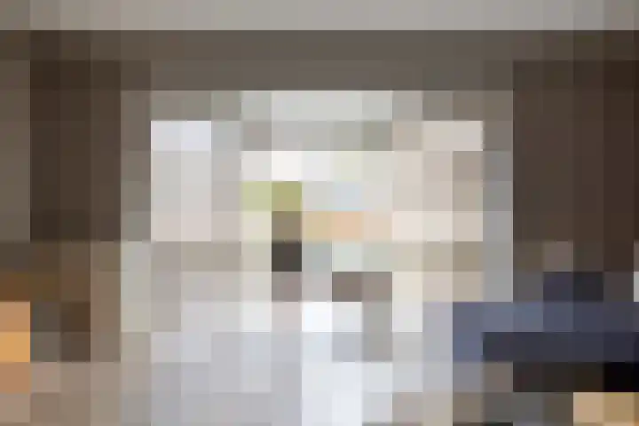 Bomenland 12 Venhuizen thumbnail 10