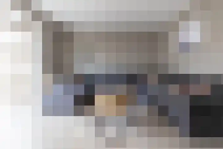Bomenland 12 Venhuizen thumbnail 11