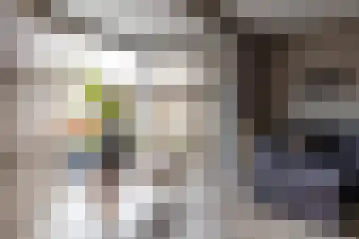 Bomenland 12 Venhuizen thumbnail 12