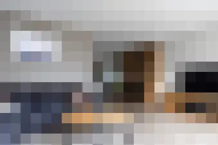 Bomenland 12 Venhuizen thumbnail 13