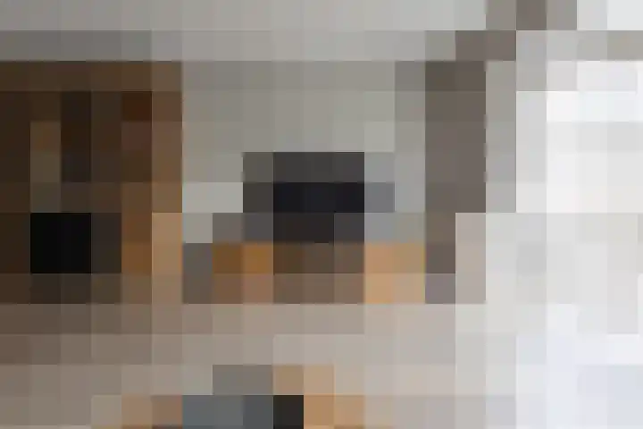 Bomenland 12 Venhuizen thumbnail 14