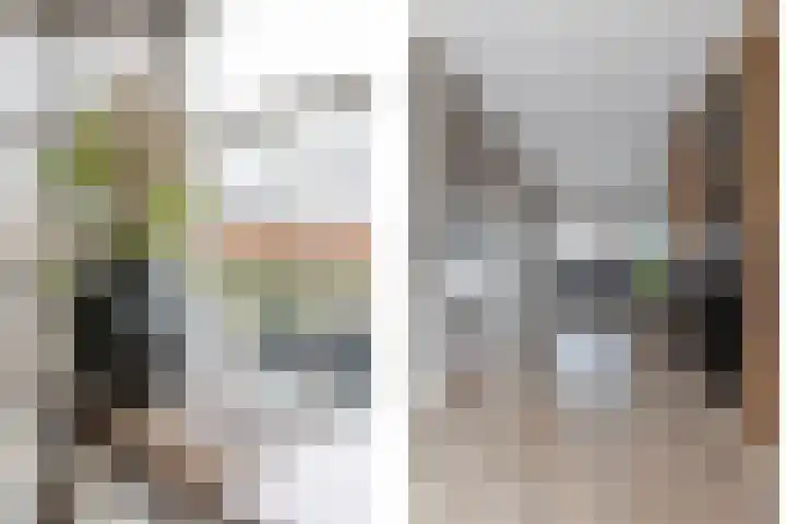 Bomenland 12 Venhuizen thumbnail 15