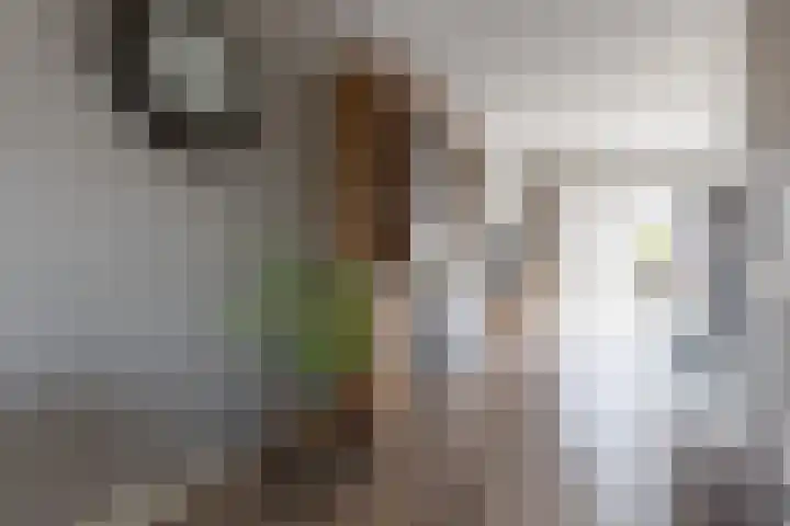 Bomenland 12 Venhuizen thumbnail 17