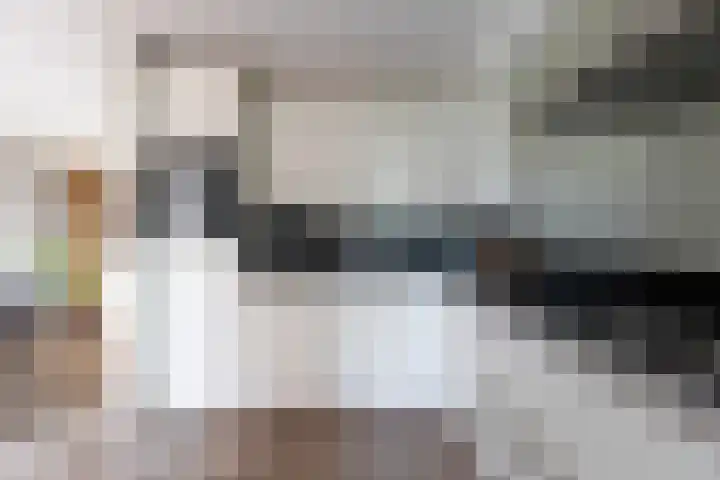 Bomenland 12 Venhuizen thumbnail 18