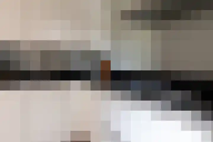 Bomenland 12 Venhuizen thumbnail 19