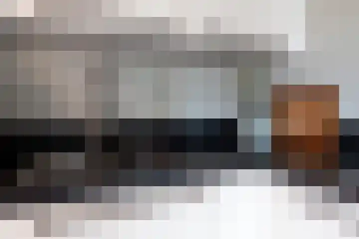 Bomenland 12 Venhuizen thumbnail 20
