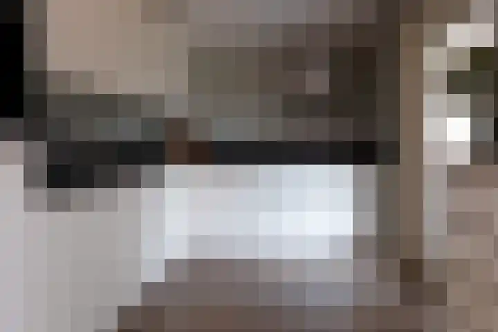Bomenland 12 Venhuizen thumbnail 21