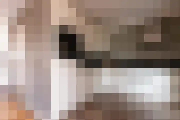 Bomenland 12 Venhuizen thumbnail 22