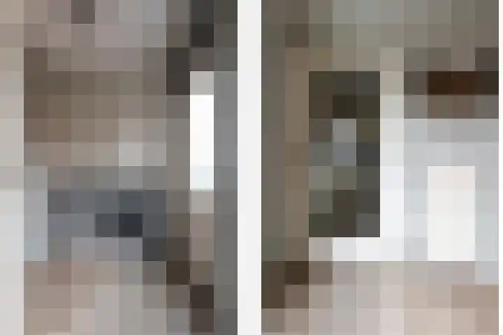 Bomenland 12 Venhuizen thumbnail 23