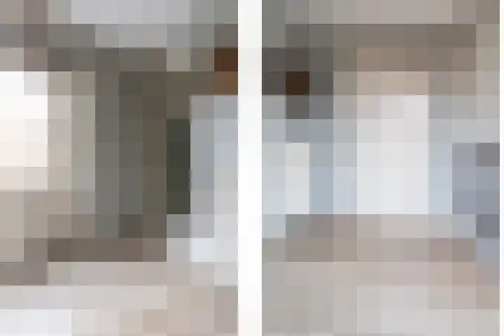 Bomenland 12 Venhuizen thumbnail 24