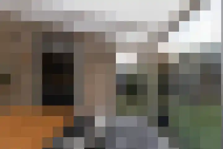 Bomenland 12 Venhuizen thumbnail 25