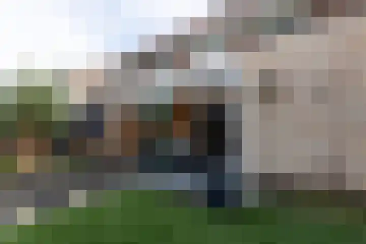Bomenland 12 Venhuizen thumbnail 27