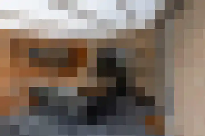 Bomenland 12 Venhuizen thumbnail 28