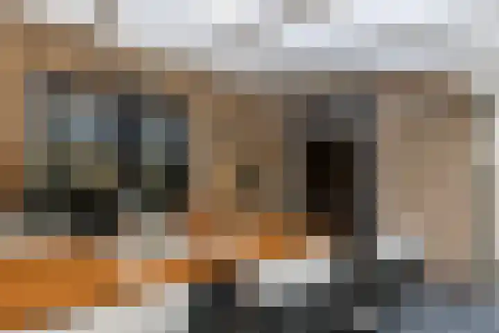 Bomenland 12 Venhuizen thumbnail 29