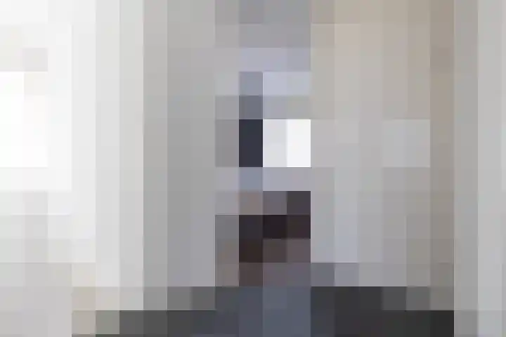 Bomenland 12 Venhuizen thumbnail 32