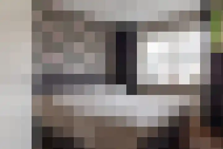 Bomenland 12 Venhuizen thumbnail 33