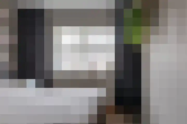 Bomenland 12 Venhuizen thumbnail 34