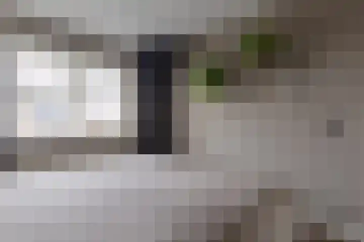 Bomenland 12 Venhuizen thumbnail 35