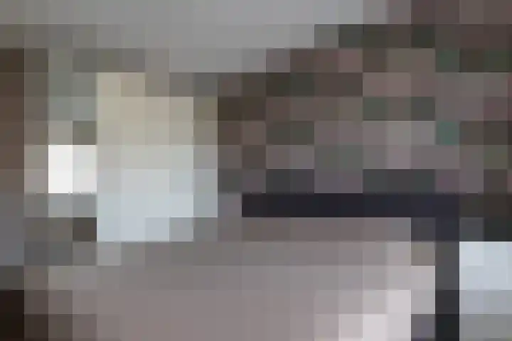 Bomenland 12 Venhuizen thumbnail 36