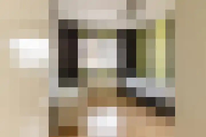 Bomenland 12 Venhuizen thumbnail 38