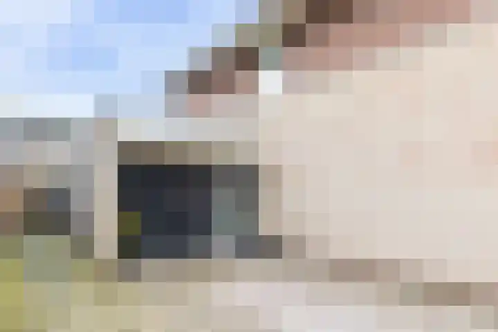 Bomenland 12 Venhuizen thumbnail 4