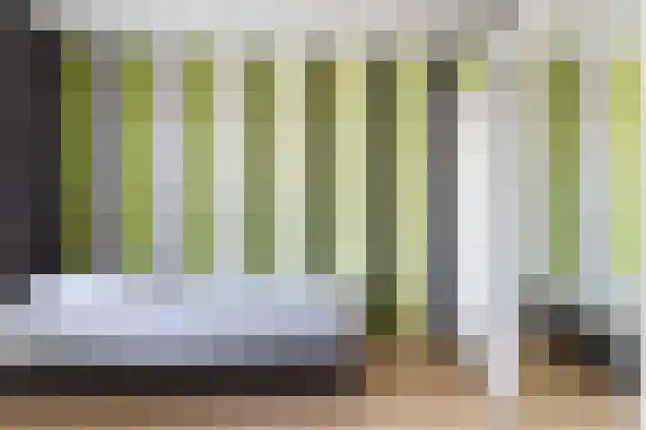 Bomenland 12 Venhuizen thumbnail 40
