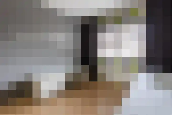 Bomenland 12 Venhuizen thumbnail 41