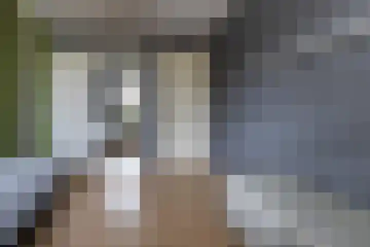 Bomenland 12 Venhuizen thumbnail 42
