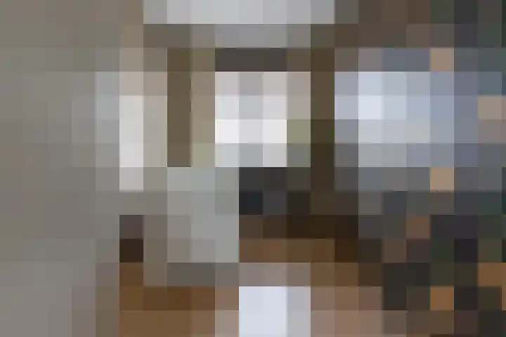 Bomenland 12 Venhuizen thumbnail 43