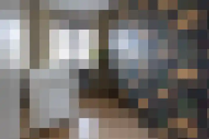 Bomenland 12 Venhuizen thumbnail 44