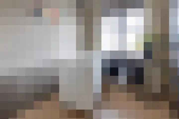Bomenland 12 Venhuizen thumbnail 45