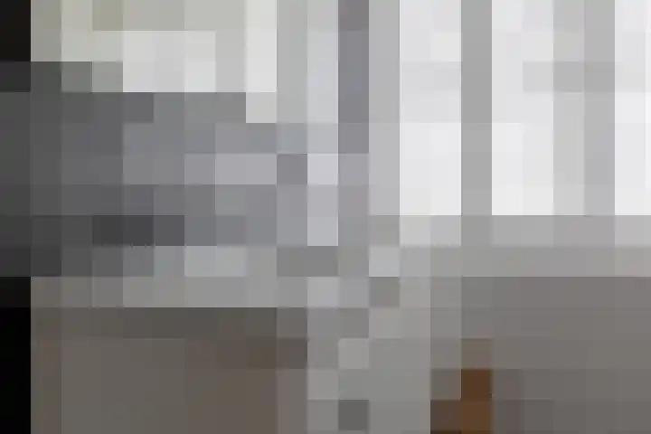 Bomenland 12 Venhuizen thumbnail 48