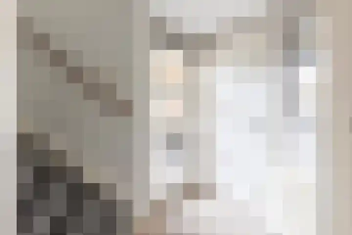Bomenland 12 Venhuizen thumbnail 5
