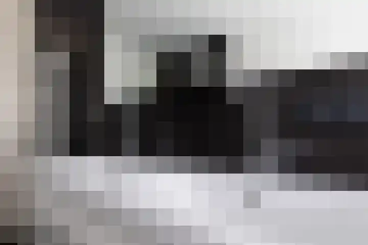 Bomenland 12 Venhuizen thumbnail 51