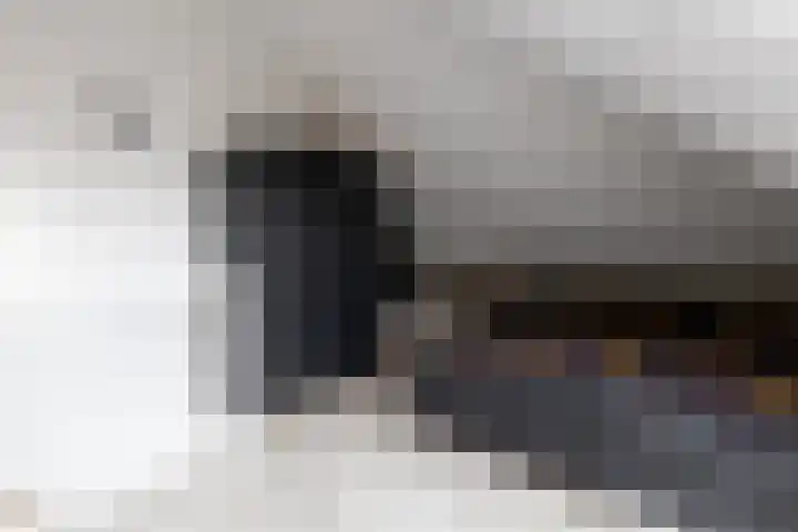 Bomenland 12 Venhuizen thumbnail 56