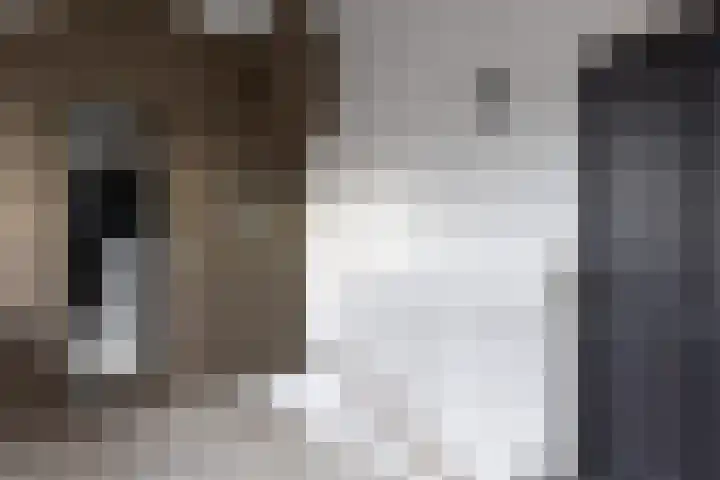 Bomenland 12 Venhuizen thumbnail 58