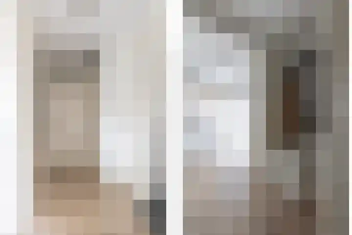 Bomenland 12 Venhuizen thumbnail 6