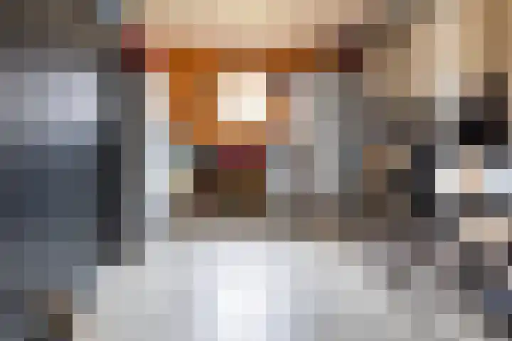 Bomenland 12 Venhuizen thumbnail 61