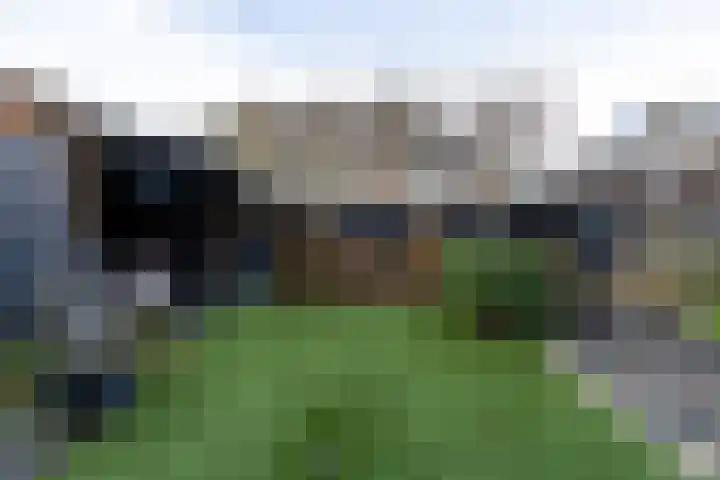 Bomenland 12 Venhuizen thumbnail 62