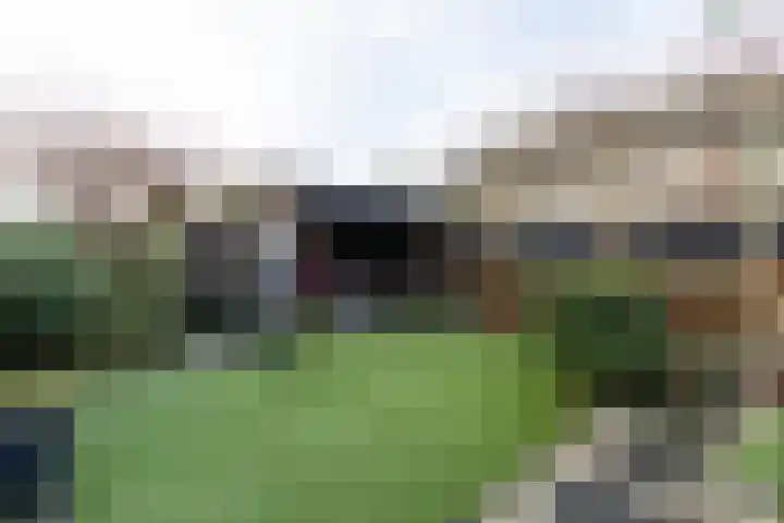 Bomenland 12 Venhuizen thumbnail 63