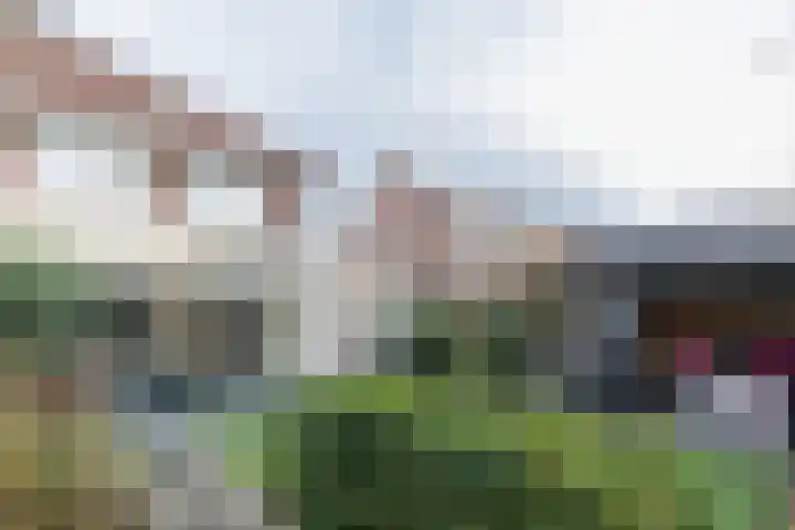 Bomenland 12 Venhuizen thumbnail 64