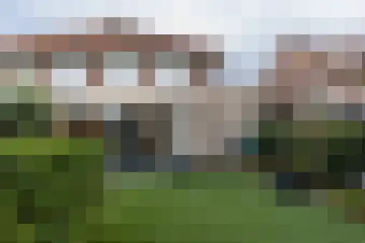 Bomenland 12 Venhuizen thumbnail 65