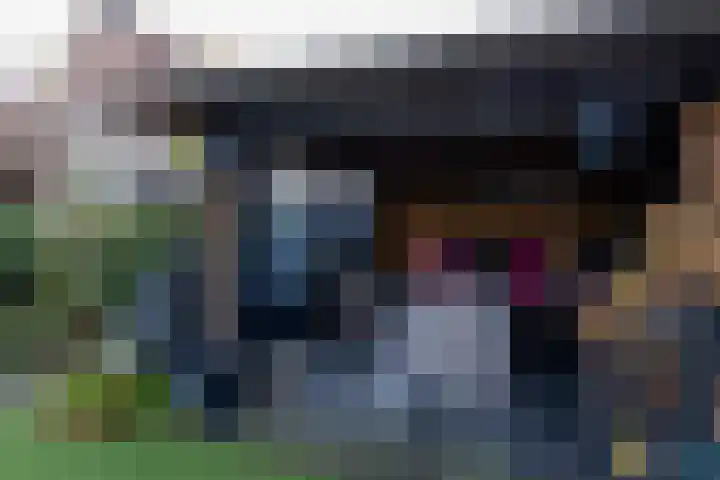 Bomenland 12 Venhuizen thumbnail 66