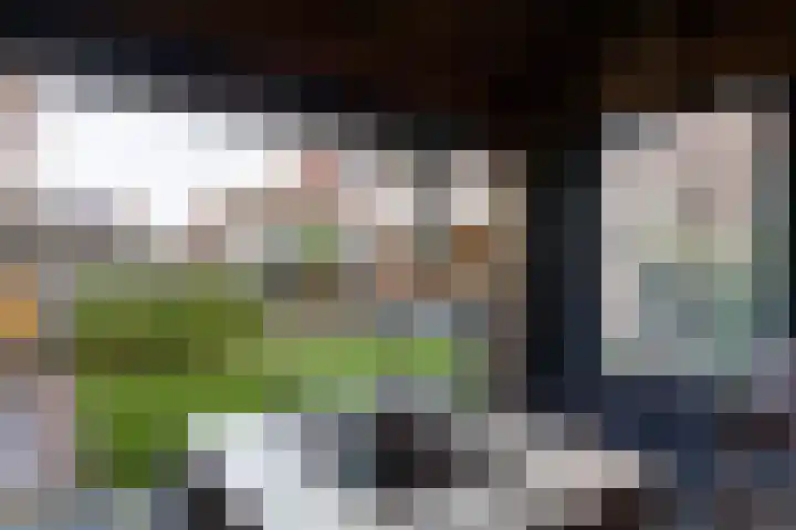 Bomenland 12 Venhuizen thumbnail 68