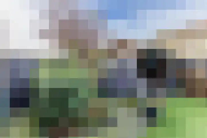 Bomenland 12 Venhuizen thumbnail 69