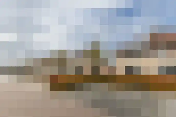 Bomenland 12 Venhuizen thumbnail 70