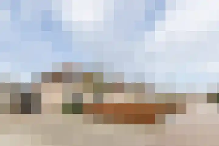 Bomenland 12 Venhuizen thumbnail 71