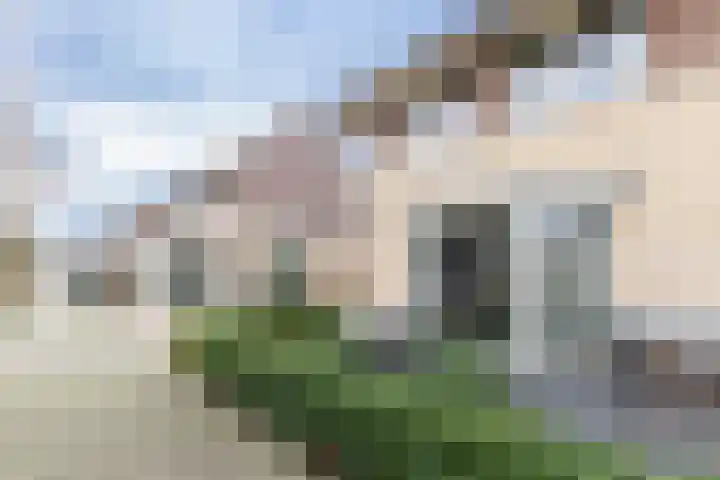 Bomenland 12 Venhuizen thumbnail 72