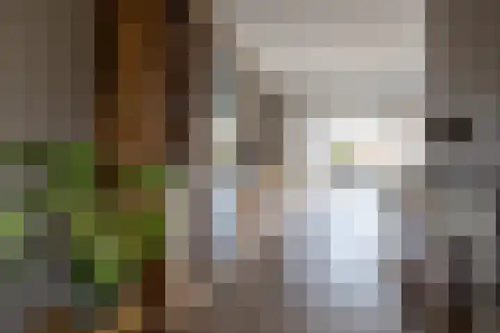 Bomenland 12 Venhuizen thumbnail 8