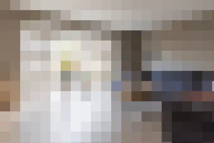 Bomenland 12 Venhuizen thumbnail 9